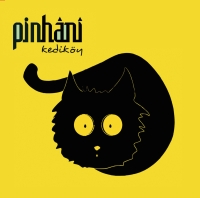 Pinhani: Kediköy (Renkli Plak) - Plak