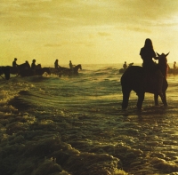 Foals: Holy Fire - CD