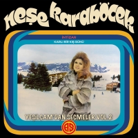 Neşe Karaböcek: Yeşilçam'dan Seçmeler Vol. 2 - Plak