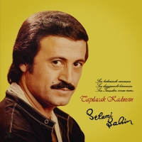Selami Şahin: Tapılacak Kadınsın - Plak