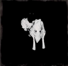 Sigur Rós: Kveikur - Plak Foto #1