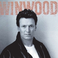 Steve Winwood: Roll With It - Plak