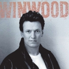 Steve Winwood: Roll With It - Plak Foto #1