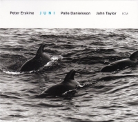 Peter Erskine: Juni - CD