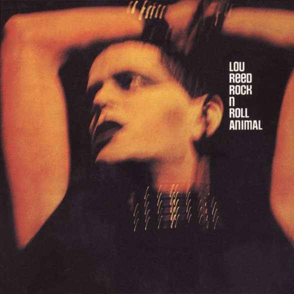 Lou Reed: Rock 'N' Roll Animal - CD Foto #1