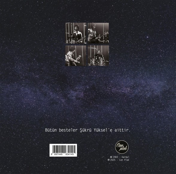 Hardal: Nereden Nereye (Limited Edition - Numaralı Siyah Plak) - Plak Foto #2