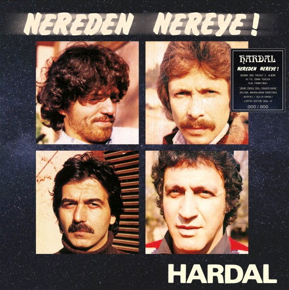 Hardal: Nereden Nereye (Limited Edition - Numaralı Siyah Plak) - Plak Foto #1