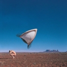 The Cranberries: Bury The Hatchet - Plak Foto #1