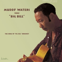 Muddy Waters Sings Big Bill Broonzy - Plak