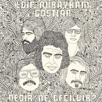 Edip Akbayram: Nedir Ne Değildir - Plak