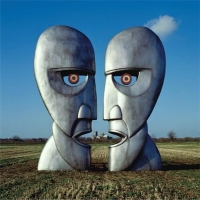 Pink Floyd: The Division Bell (Remastered) - Plak