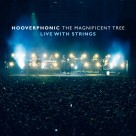 Hooverphonic: The Magnificent Tree - Live With Strings (Translucent Mint Green Vinyl) - Plak Foto #1