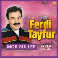 Ferdi Tayfur: Mor Güller - Plak